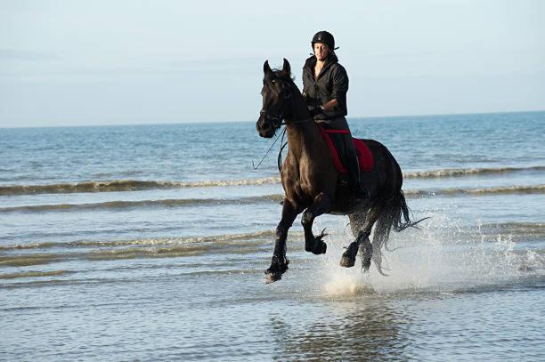 "Magnifique 2 Pieces " 150M Plages Et 500M Centre De กาบูร์ก ภายนอก รูปภาพ